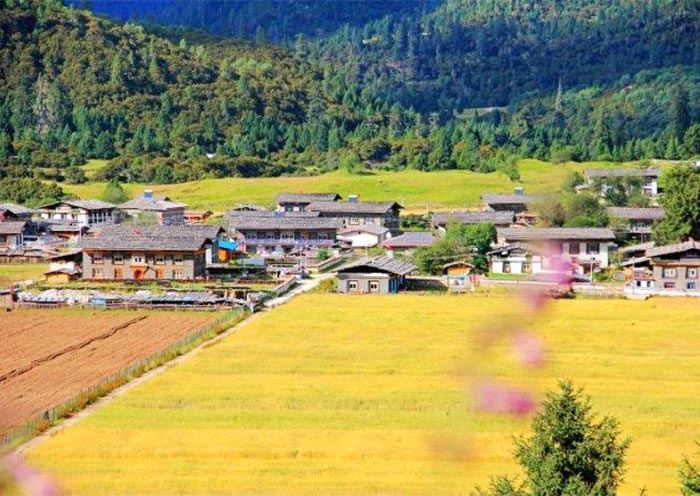 Tashi Gang Villag Tashi Gang Villag